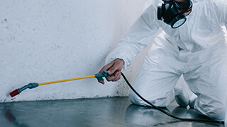 有害生物除去（防虫・殺鼠・鳥害対策）