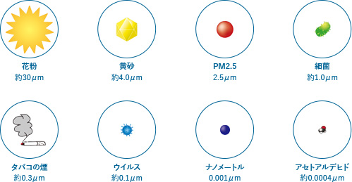 除去範囲